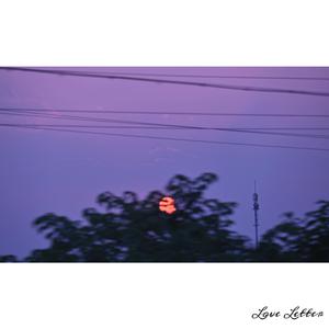 美女把逼给男人插
