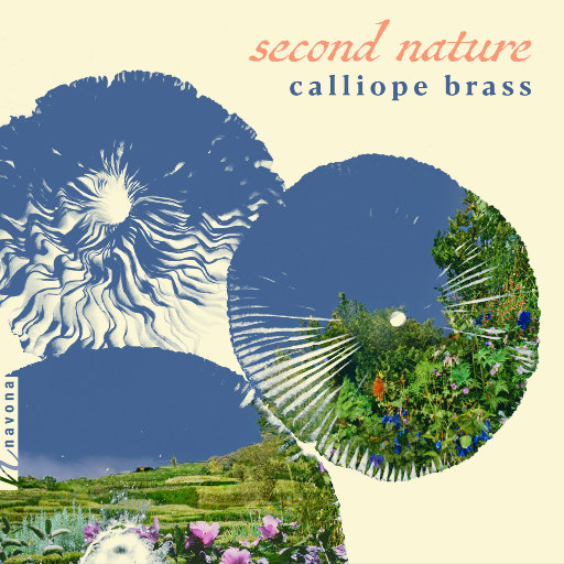 美女把逼给男人插
